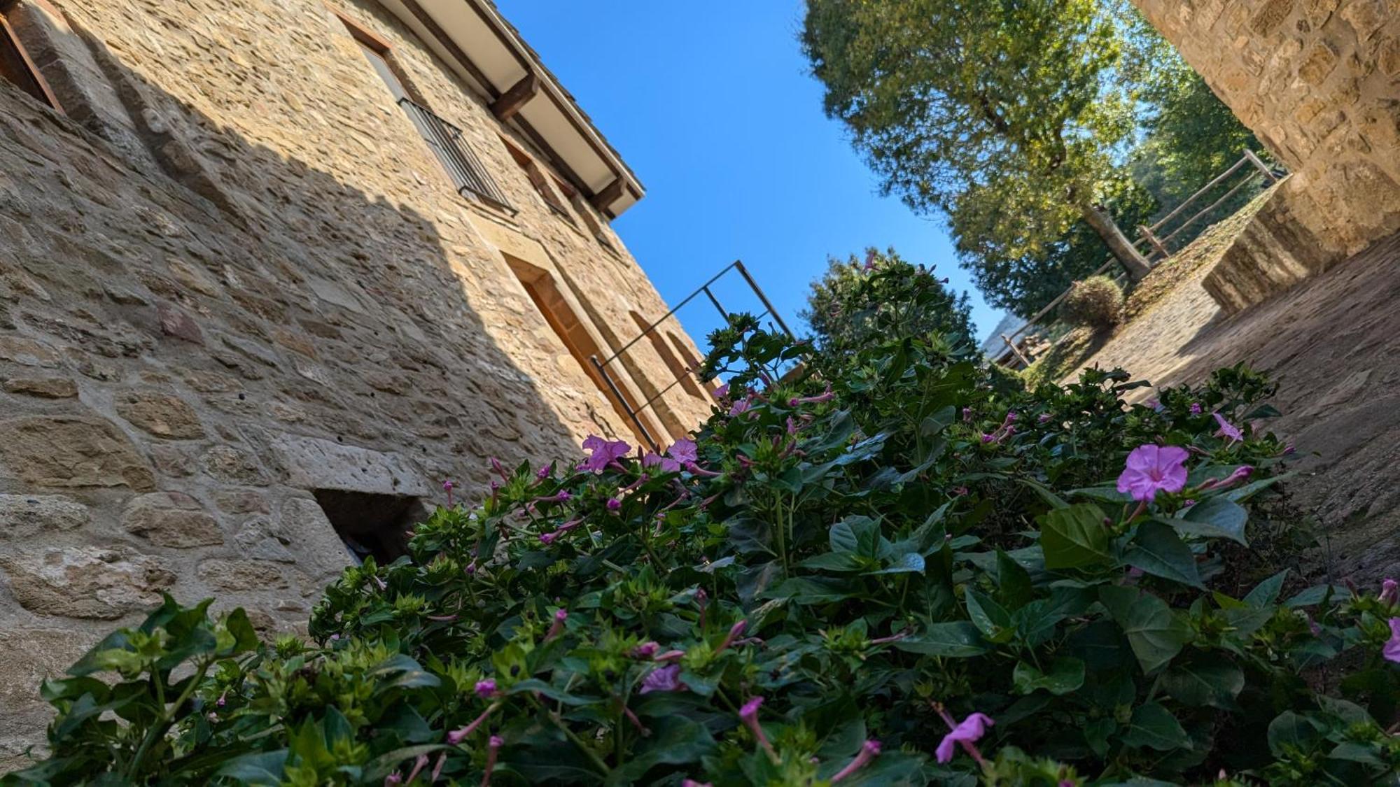 Mas El Carrer Appartement Santa Pau Buitenkant foto